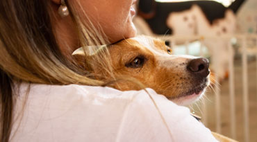 woman hugging small dog